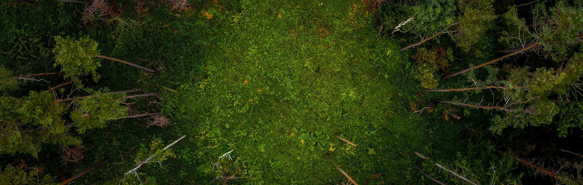 КОМПАНИЯ ZHEJIANG DONGJIE COOLINGTOWER CO., LTD.